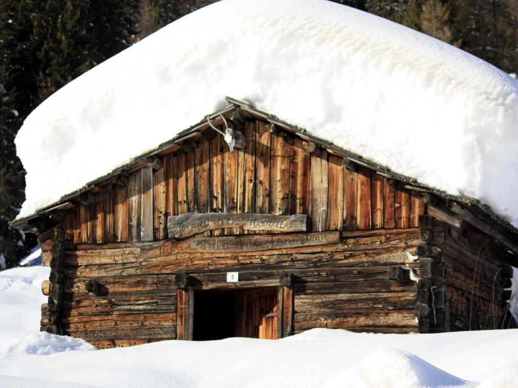 Apartmán Centro Thule - Genziana Selva di Cadore Exteriér fotografie