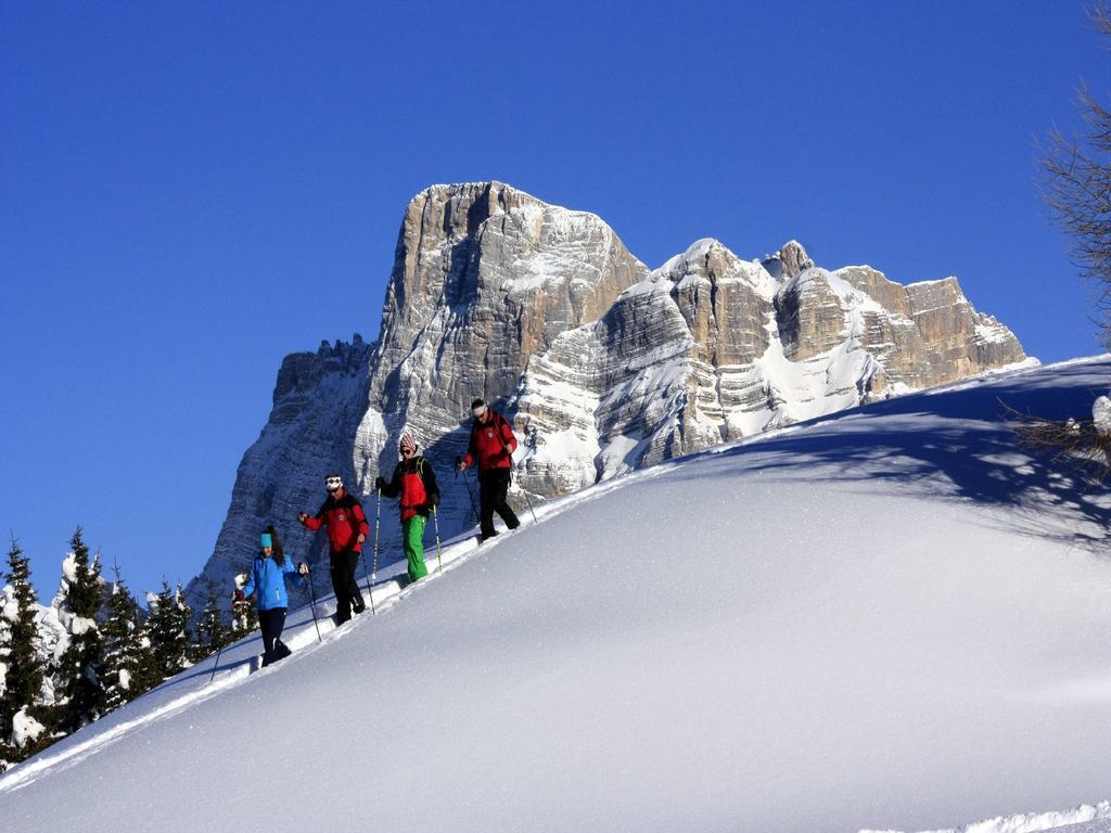 Apartmán Centro Thule - Genziana Selva di Cadore Exteriér fotografie